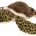 Spotty sea turtle 8"