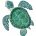 Mini green sea turtle