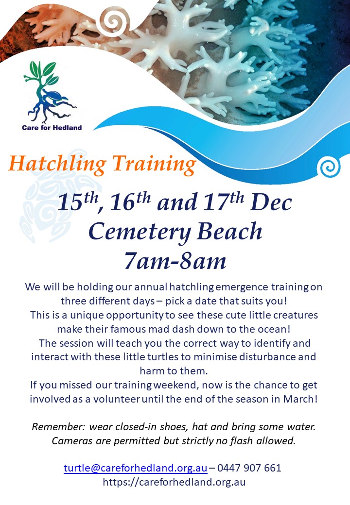 Hatchling training session