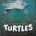 Saving the Turtles