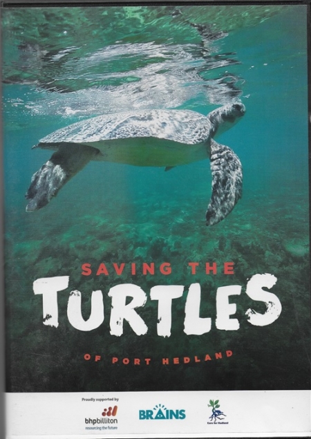 Saving the Turtles